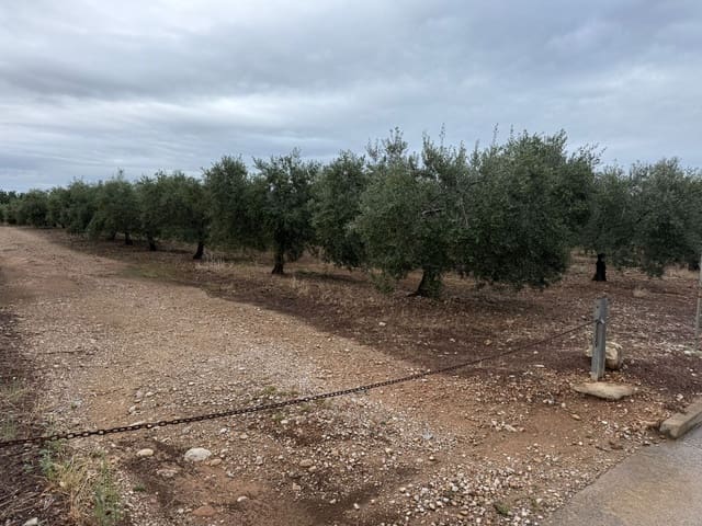 Terreno Não Urbanizado para venda em Mont-roig del Camp - 90 000 € (Ref: 9538627)