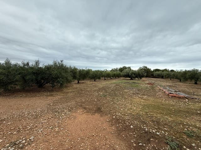 Terreno Não Urbanizado para venda em Mont-roig del Camp - 90 000 € (Ref: 9538627)