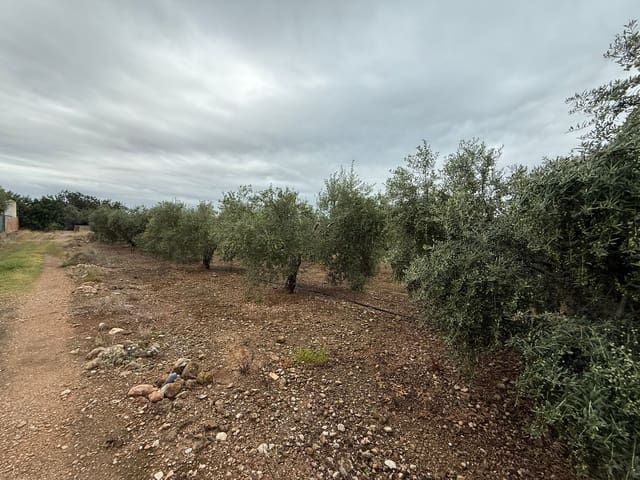Terreno Não Urbanizado para venda em Mont-roig del Camp - 90 000 € (Ref: 9538627)