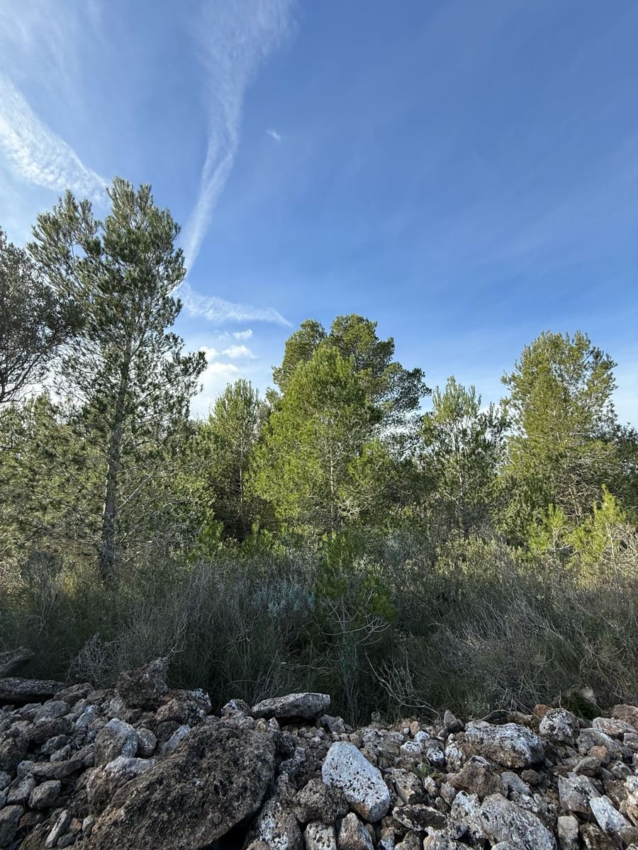 Terreno Não Urbanizado para venda em L'Ametlla de Mar - 50 000 € (Ref: 9538639)