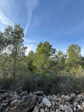 Terreno Não Urbanizado para venda em L'Ametlla de Mar - 50 000 € (Ref: 9538639)