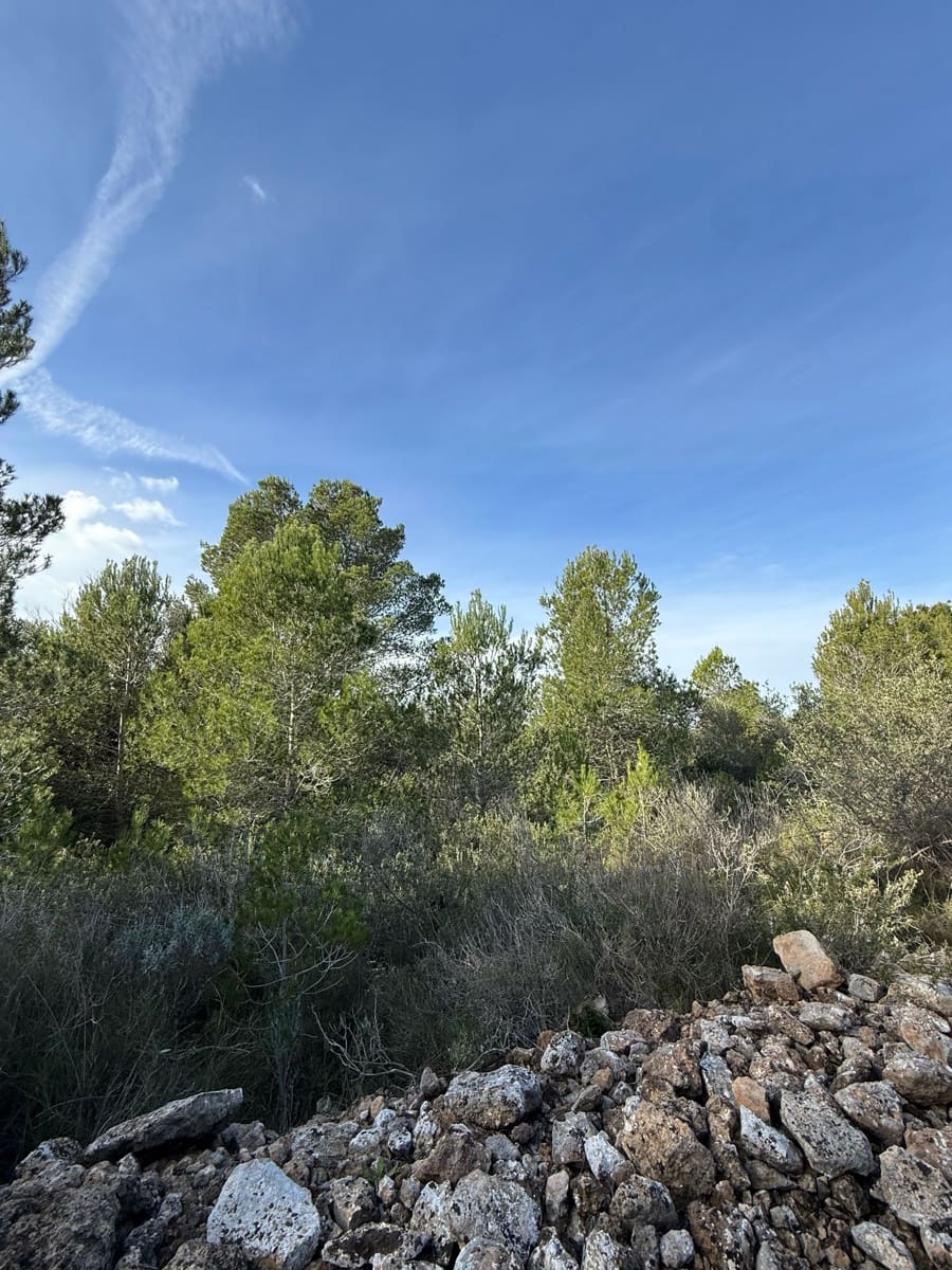 Terreno Não Urbanizado para venda em L'Ametlla de Mar - 50 000 € (Ref: 9538639)