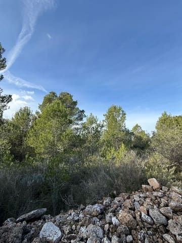 Terreno Não Urbanizado para venda em L'Ametlla de Mar - 50 000 € (Ref: 9538639)