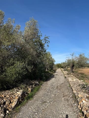 Terreno Não Urbanizado para venda em L'Ametlla de Mar - 50 000 € (Ref: 9538639)