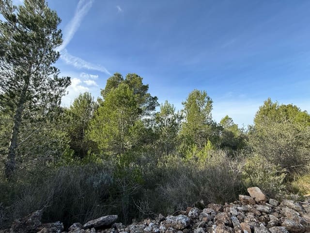 Terreno Não Urbanizado para venda em L'Ametlla de Mar - 50 000 € (Ref: 9538639)