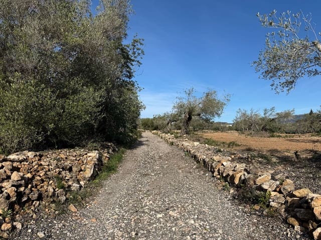 Terreno Não Urbanizado para venda em L'Ametlla de Mar - 50 000 € (Ref: 9538639)