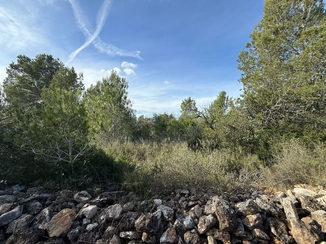 Terreno Não Urbanizado para venda em L'Ametlla de Mar - 50 000 € (Ref: 9538639)
