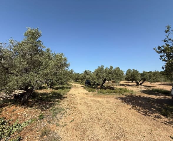 Grond te koop in L'Ametlla de Mar - € 115.000 (Ref: 9761538)