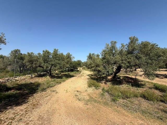 Grond te koop in L'Ametlla de Mar - € 115.000 (Ref: 9761538)