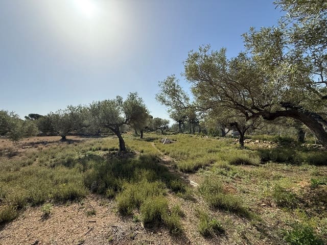 Grond te koop in L'Ametlla de Mar - € 115.000 (Ref: 9761538)