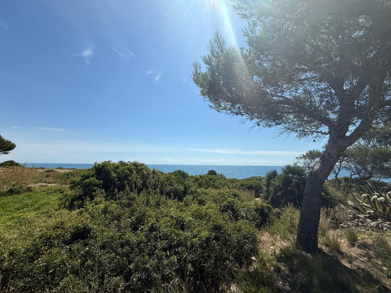 3 soverom Villa til salgs i Calafat med svømmebasseng garasje - € 610 000 (Ref: 9847804)