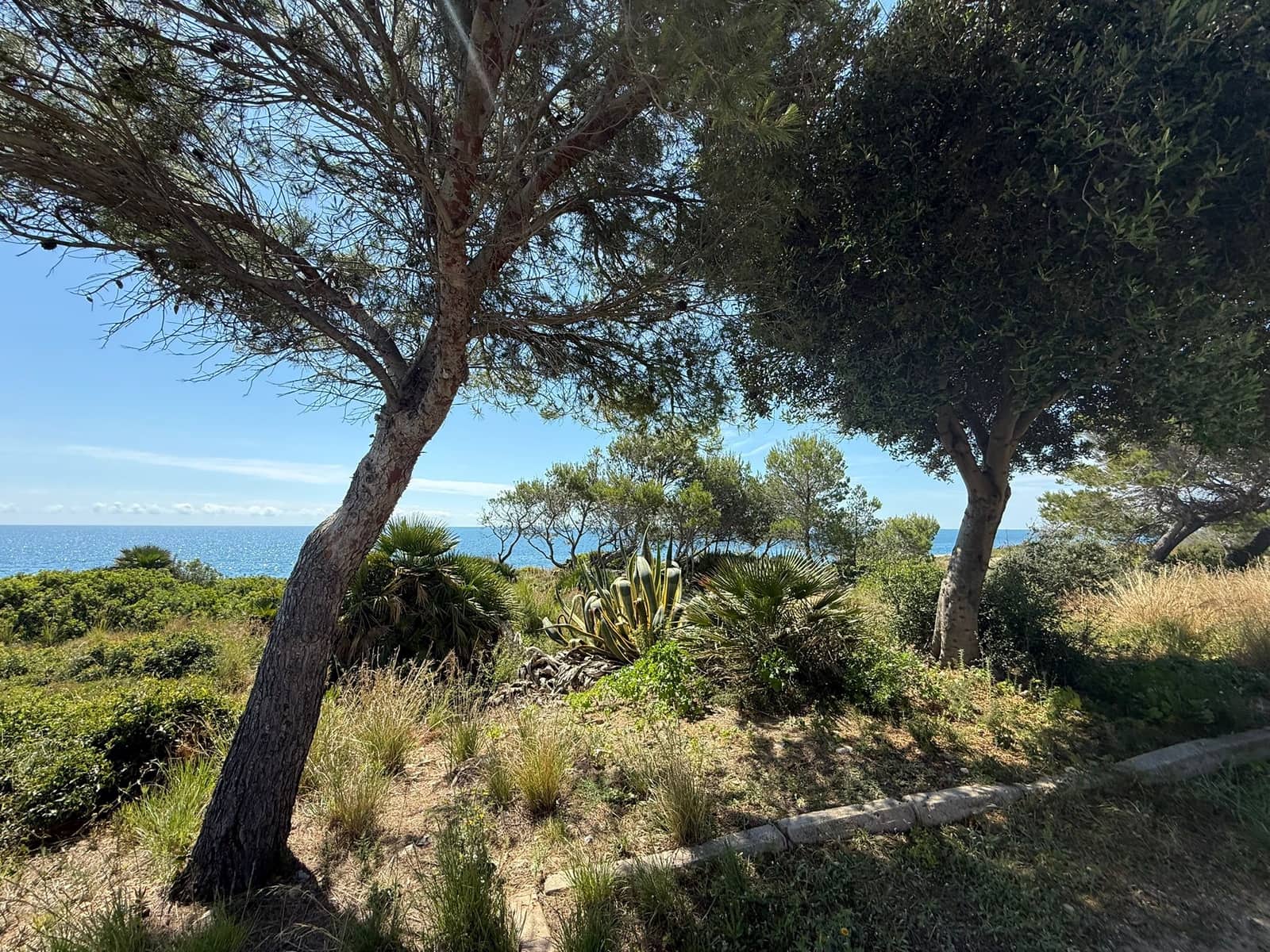 3 soverom Villa til salgs i Calafat med svømmebasseng garasje - € 610 000 (Ref: 9847804)