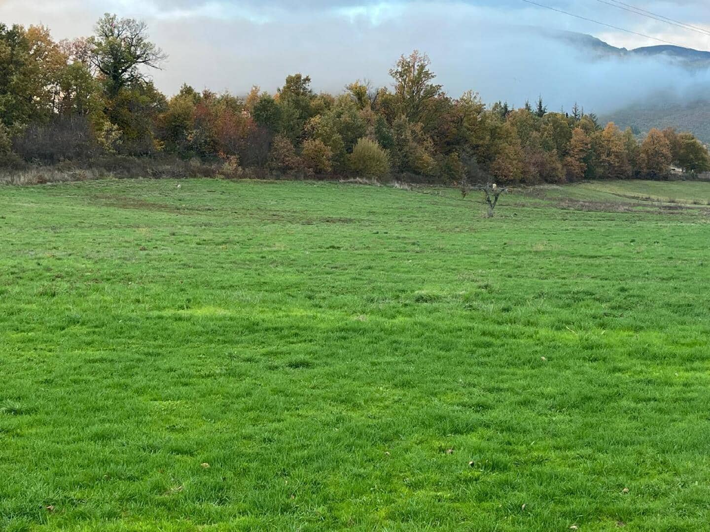 Maison de Ville à vendre à Noceda del Bierzo - 30 000 € (Ref: 9362738)