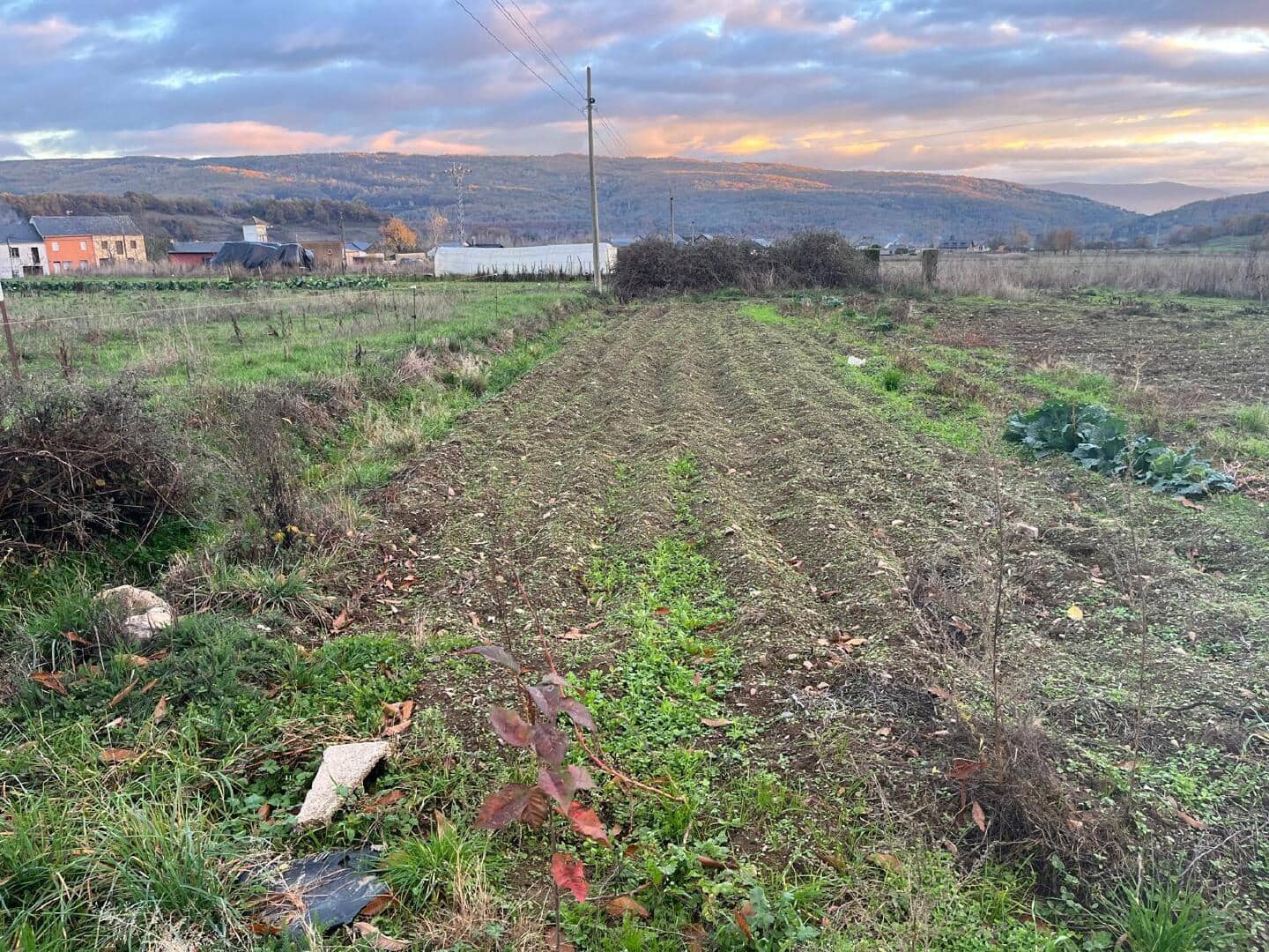 Maison de Ville à vendre à Noceda del Bierzo - 30 000 € (Ref: 9362738)