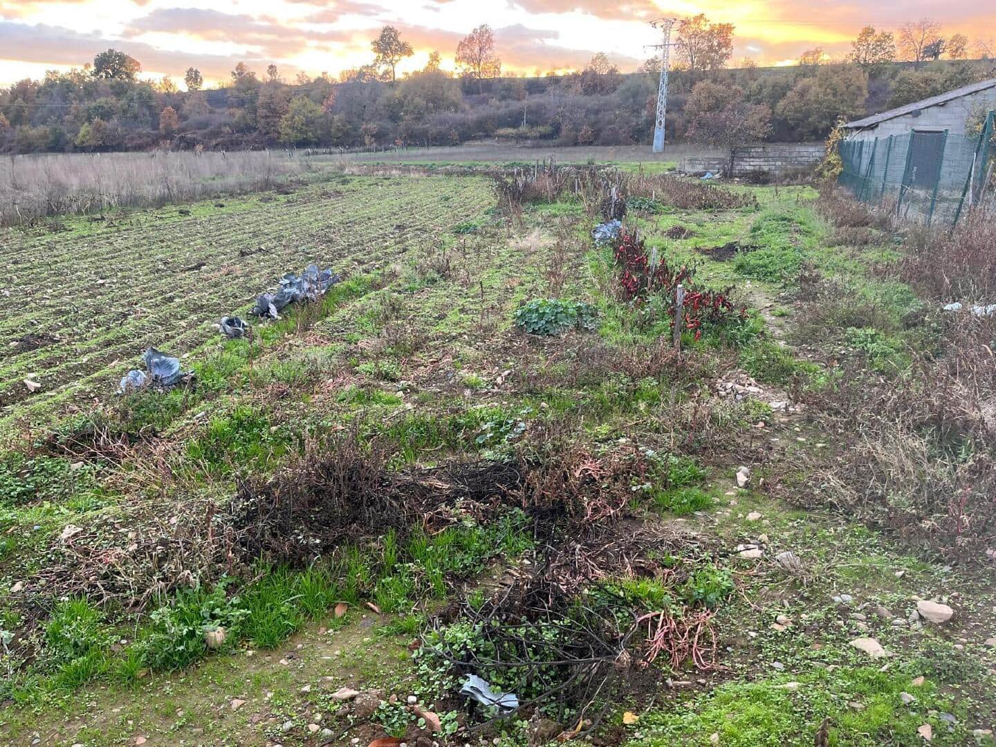 Maison de Ville à vendre à Noceda del Bierzo - 30 000 € (Ref: 9362738)