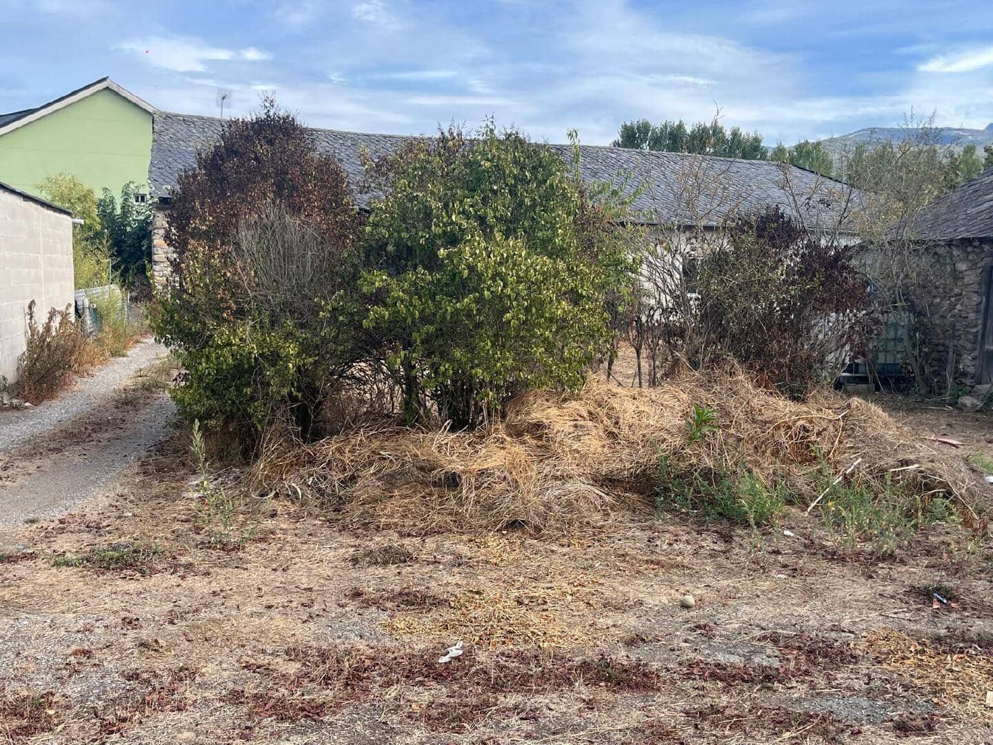 Terreno Non Edificato in vendita in Carracedelo - 18.000 € (Rif: 9362741)