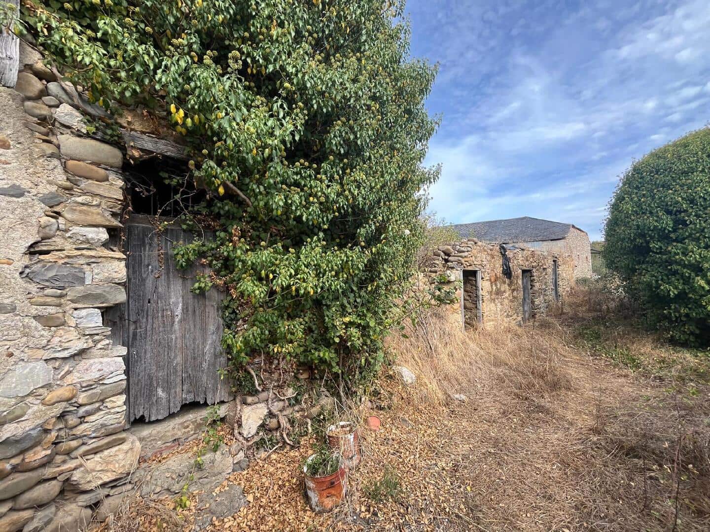 Terreno Non Edificato in vendita in Carracedelo - 18.000 € (Rif: 9362741)