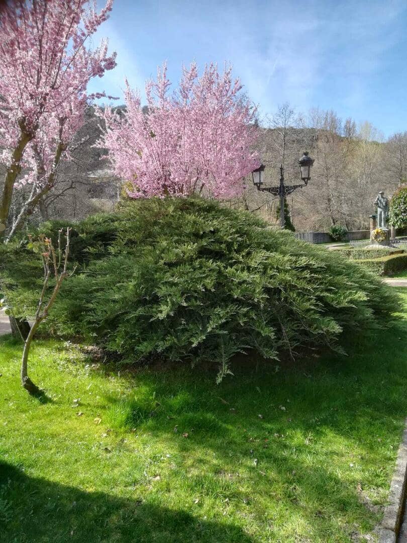 5 slaapkamer Huis te koop in Torre del Bierzo - € 19.900 (Ref: 9362743)