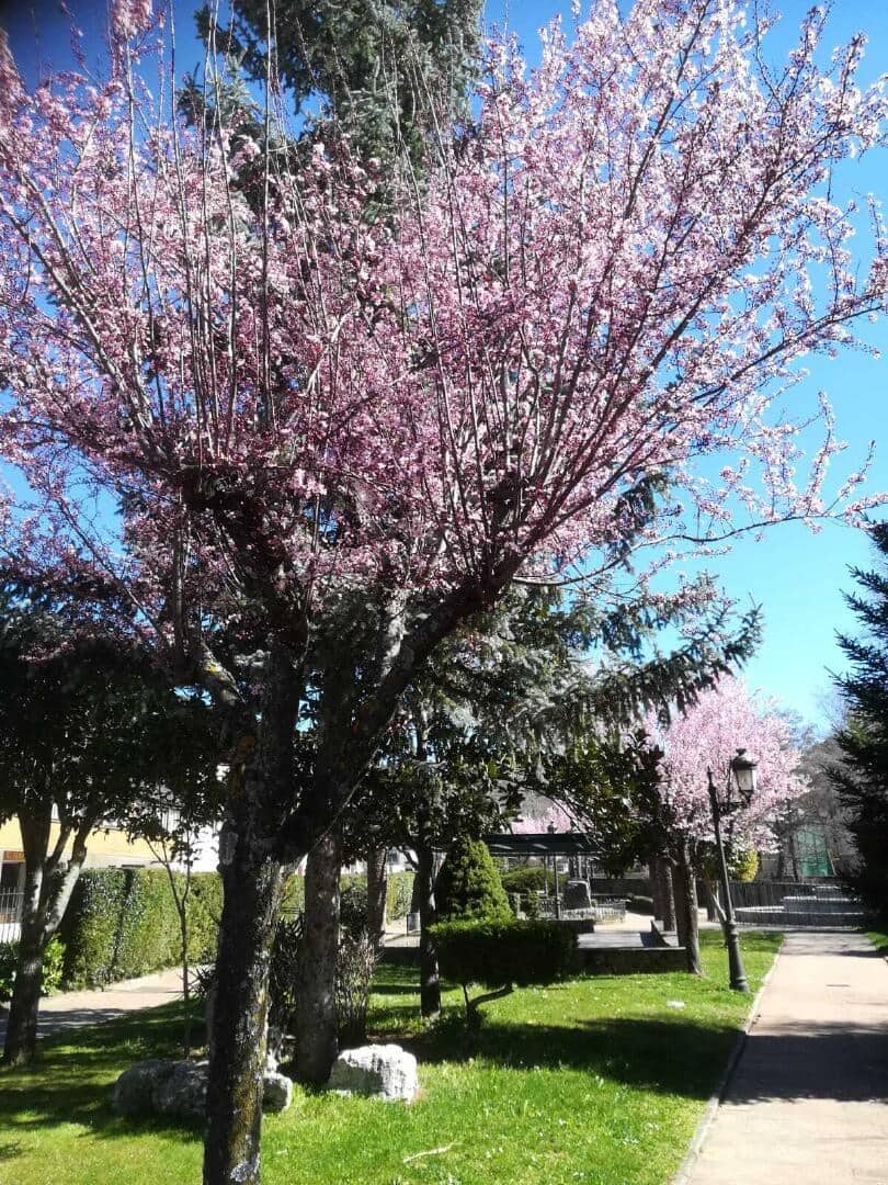 5 slaapkamer Huis te koop in Torre del Bierzo - € 19.900 (Ref: 9362743)