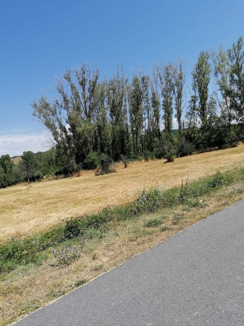 Mark till salu i Torre del Bierzo - 52 000 € (Ref: 9362744)