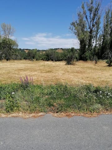Undeveloped Land for sale in Torre del Bierzo - € 52,000 (Ref: 9362744)