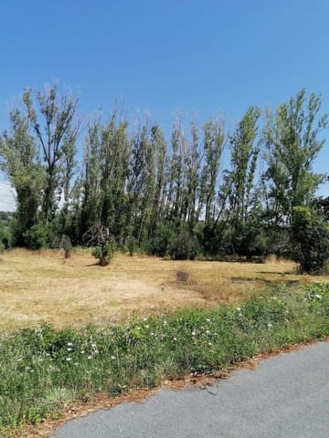 Undeveloped Land for sale in Torre del Bierzo - € 52,000 (Ref: 9362744)