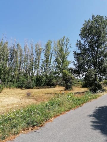Undeveloped Land for sale in Torre del Bierzo - € 52,000 (Ref: 9362744)
