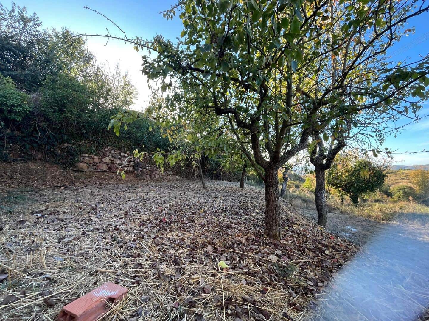 20 makuuhuone Omakotitalo myytävänä paikassa Castropodame - 35 000 € (Ref: 9362749)