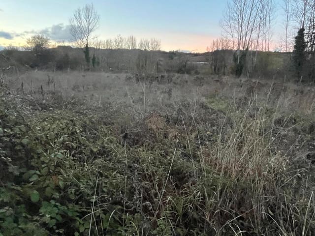 Undeveloped Land for sale in Torre del Bierzo - € 8,500 (Ref: 9366903)