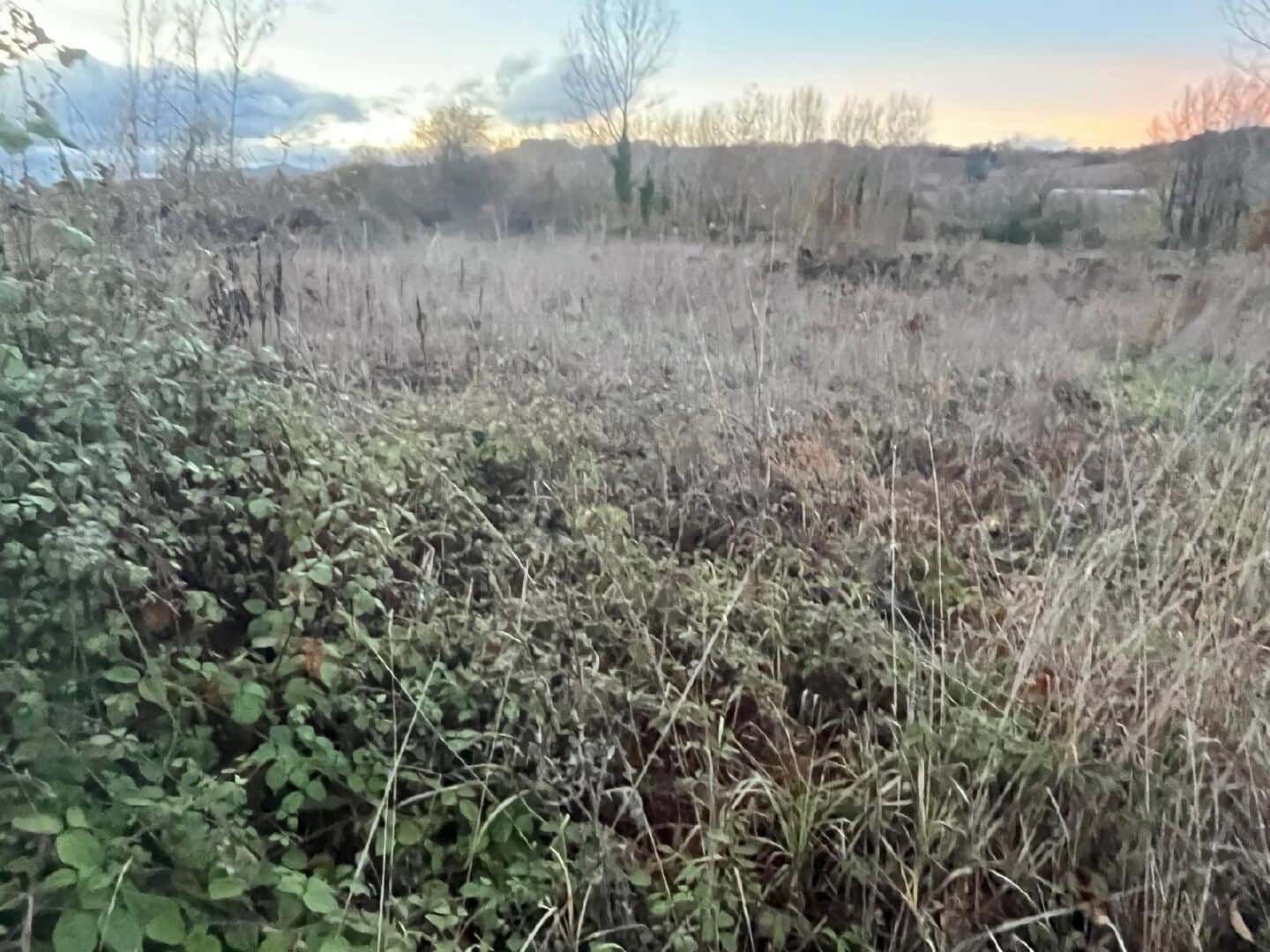 Undeveloped Land for sale in Torre del Bierzo - € 8,500 (Ref: 9366903)