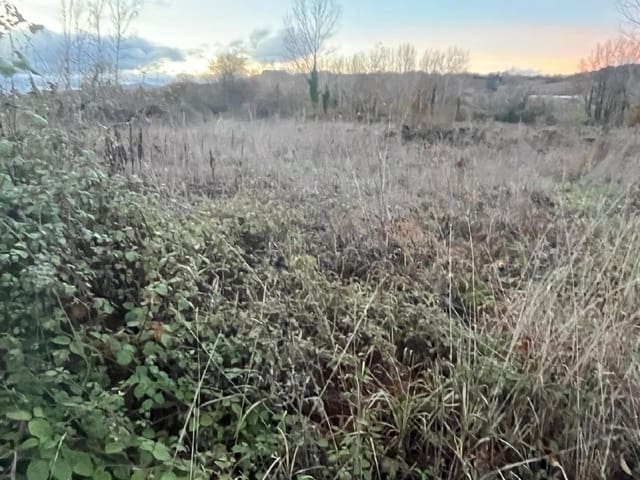Undeveloped Land for sale in Torre del Bierzo - € 8,500 (Ref: 9366903)
