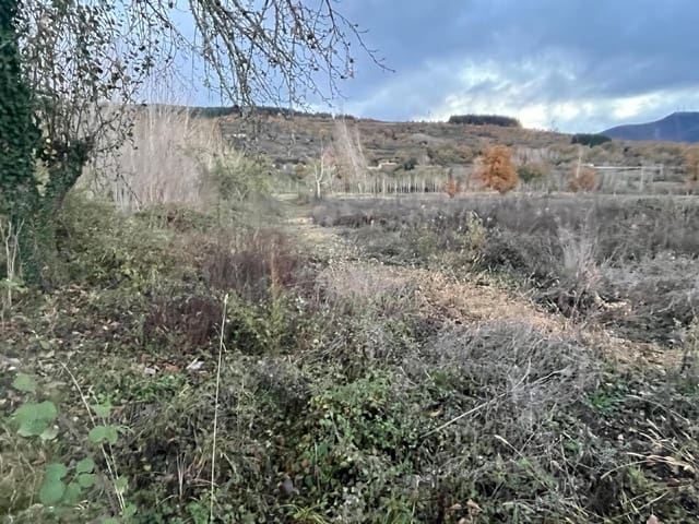 Undeveloped Land for sale in Torre del Bierzo - € 8,500 (Ref: 9366903)