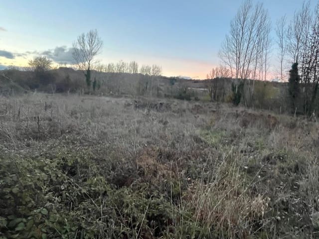 Undeveloped Land for sale in Torre del Bierzo - € 8,500 (Ref: 9366903)