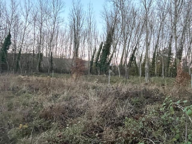 Undeveloped Land for sale in Torre del Bierzo - € 8,500 (Ref: 9366903)