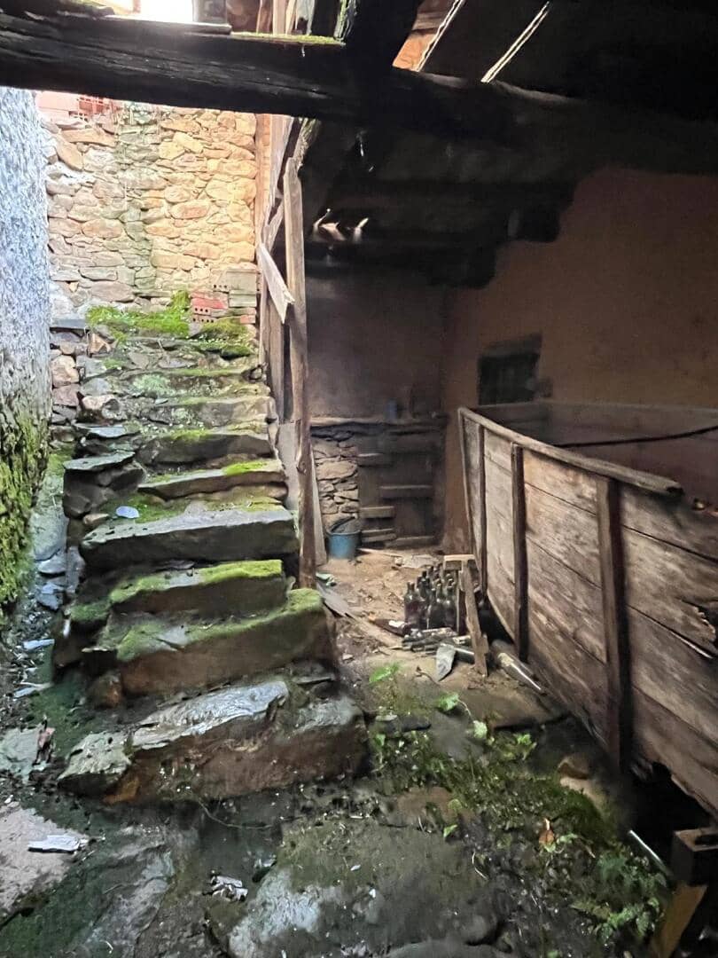 Terreno Non Edificato in vendita in Bembibre - 12.000 € (Rif: 9378655)