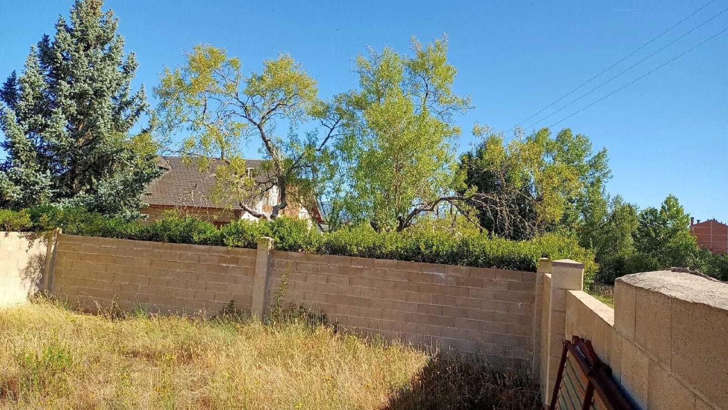 Terreno/Finca Rústica en Bembibre en venta - 12.650 € (Ref: 9488131)