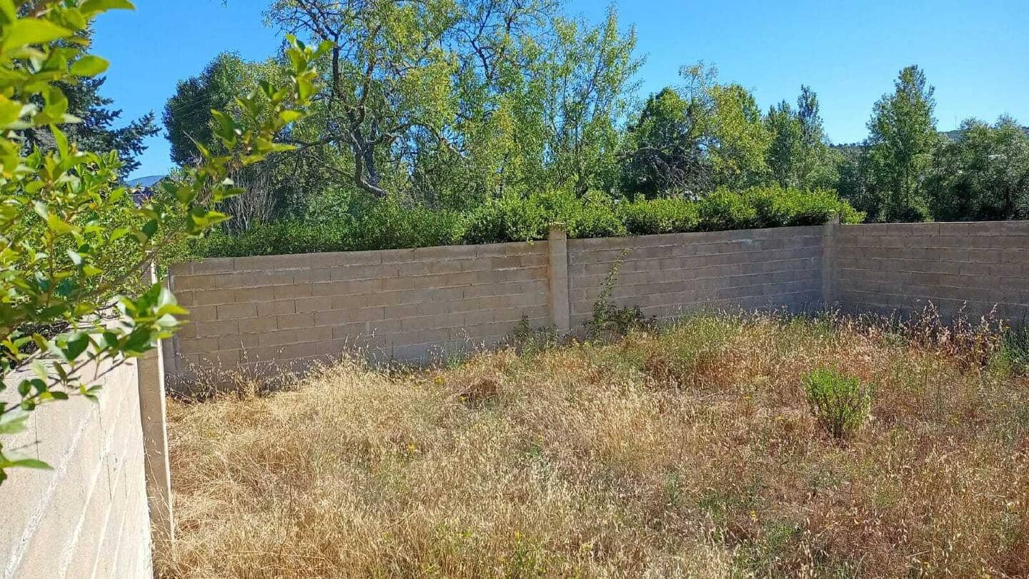 Terreno/Finca Rústica en Bembibre en venta - 12.650 € (Ref: 9488131)