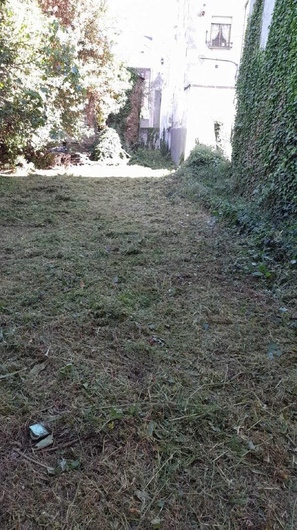 Undeveloped Land for sale in Bembibre - € 36,500 (Ref: 9488216)