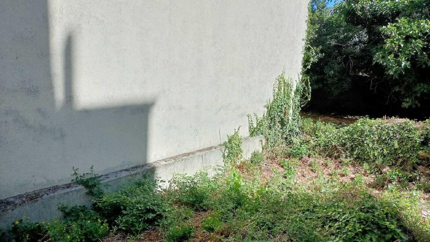 Undeveloped Land for sale in Bembibre - € 36,500 (Ref: 9488216)