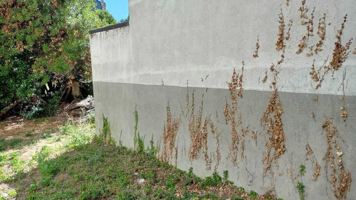 Undeveloped Land for sale in Bembibre - € 36,500 (Ref: 9488216)