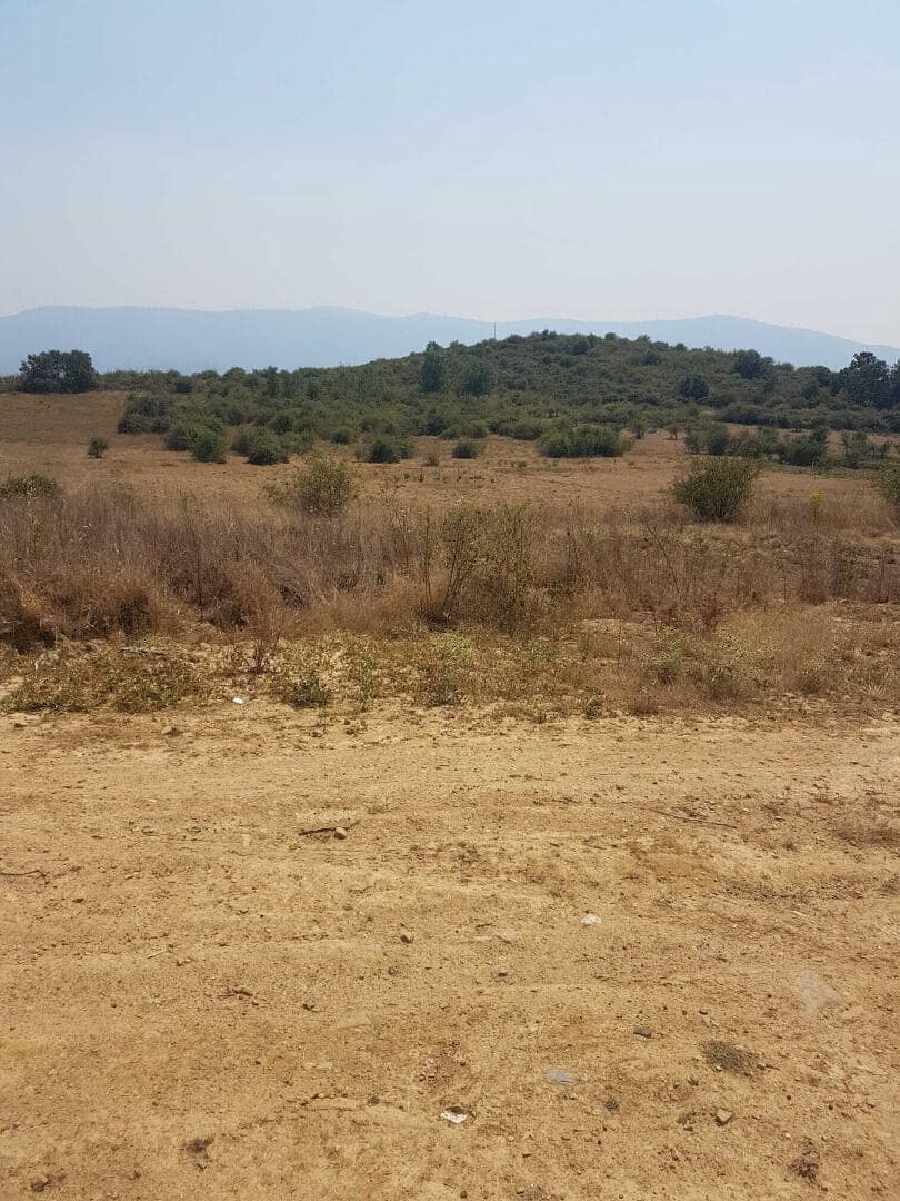 Undeveloped Land for sale in Bembibre - € 6,000 (Ref: 9488247)