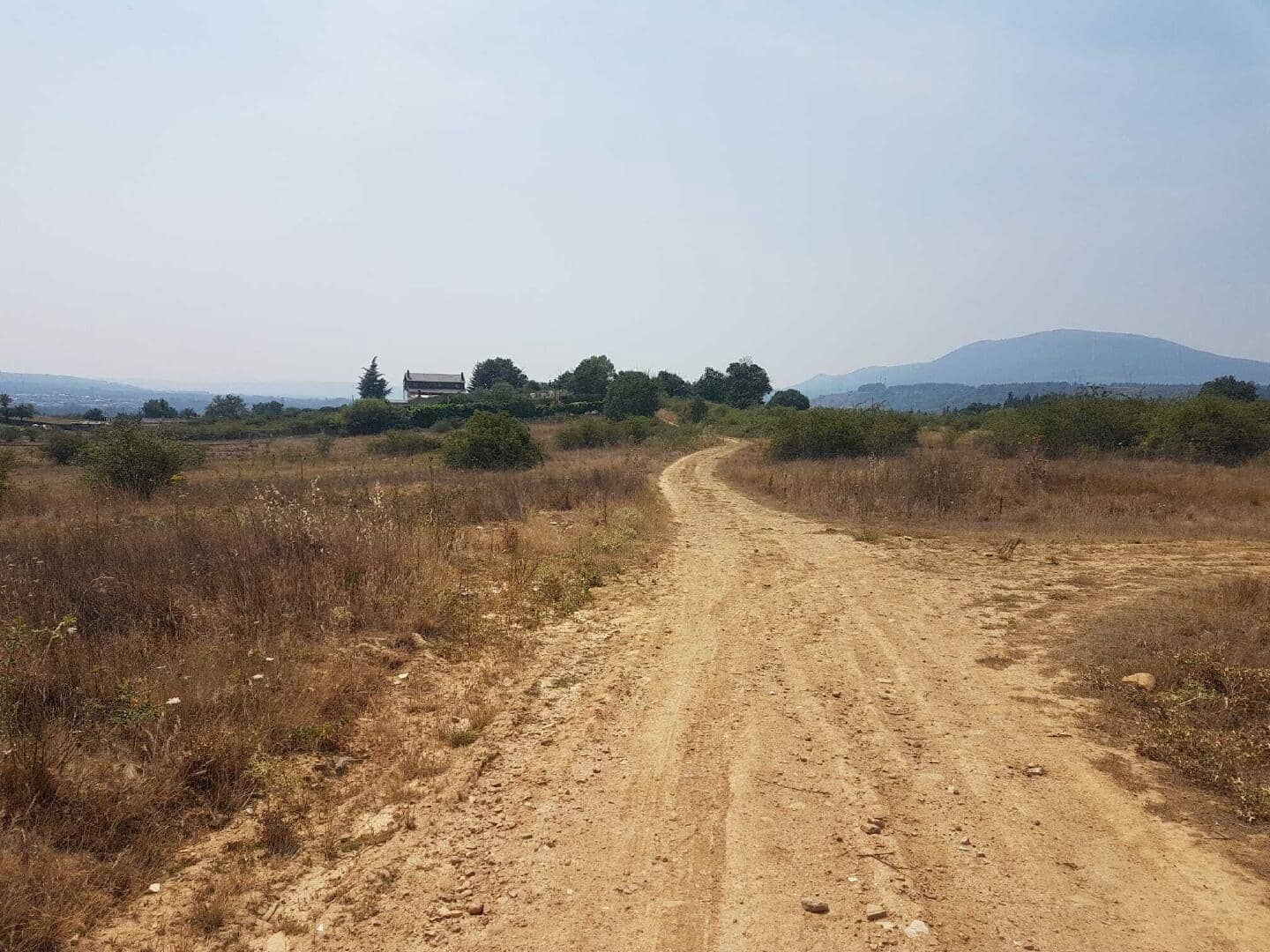 Undeveloped Land for sale in Bembibre - € 6,000 (Ref: 9488247)