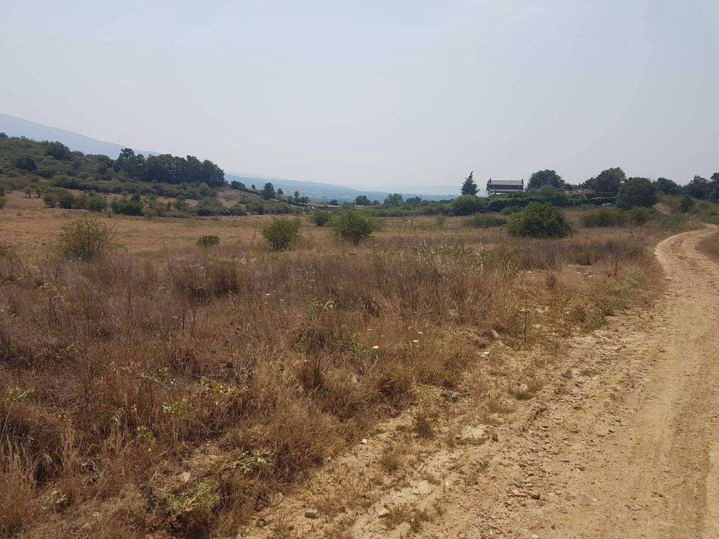 Undeveloped Land for sale in Bembibre - € 6,000 (Ref: 9488247)