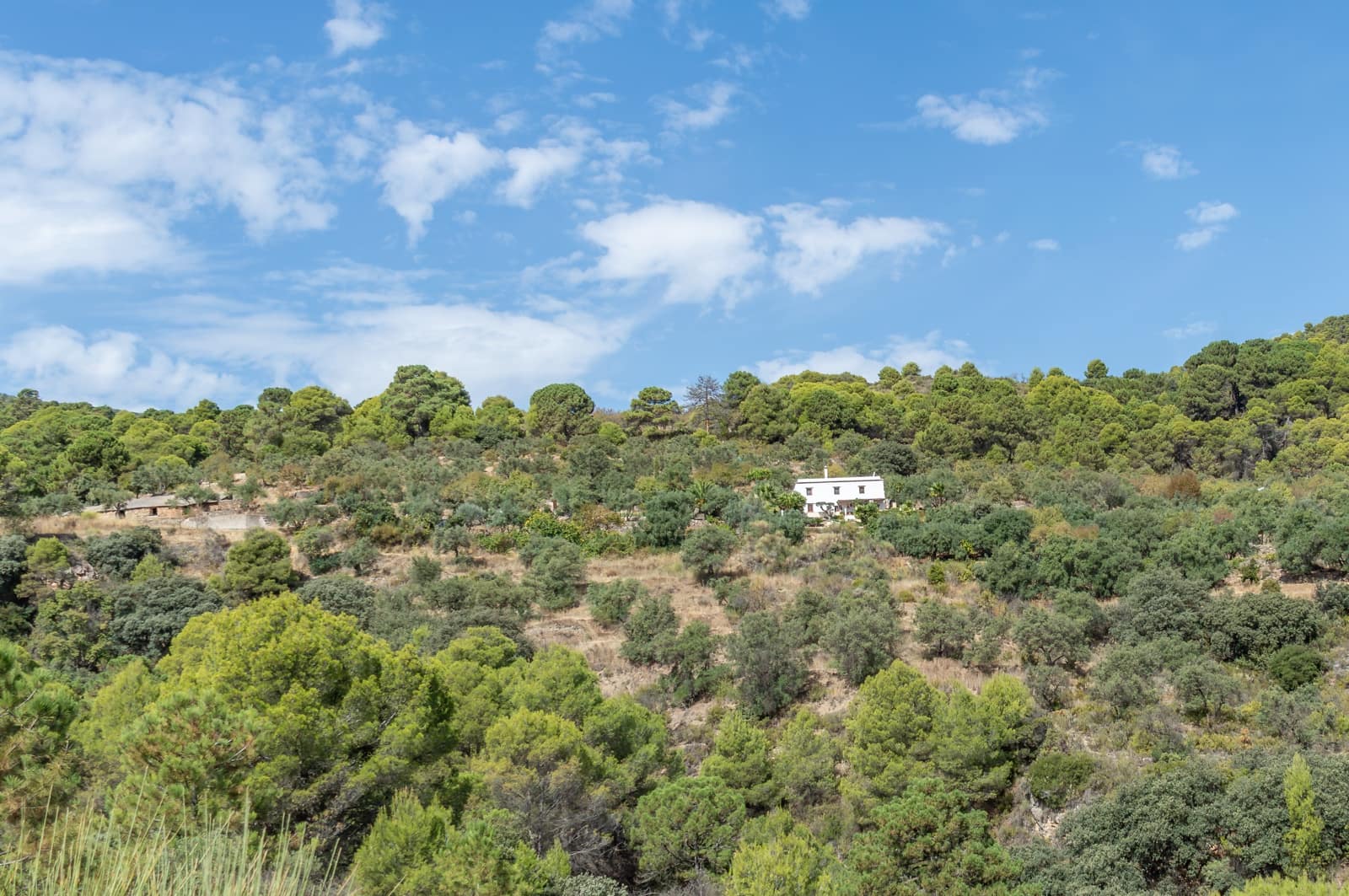 5 soveværelse Finca/Landehus til salg i Los Guajares med swimmingpool garage - € 349.000 (Ref: 9362930)