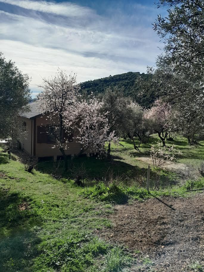 5 bedroom Finca/Country House for sale in Los Guajares with pool garage - € 349,000 (Ref: 9362930)