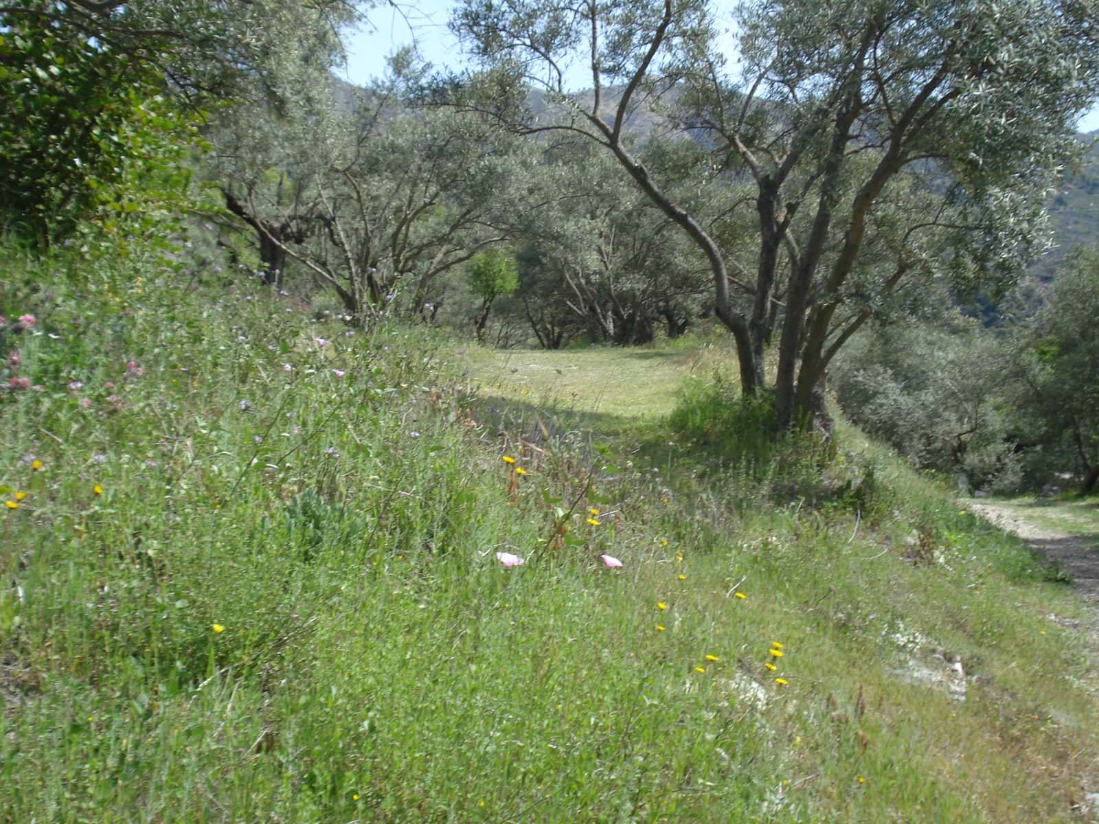 5 sovrum Finca/Hus på landet till salu i Los Guajares med pool garage - 325 000 € (Ref: 9362930)