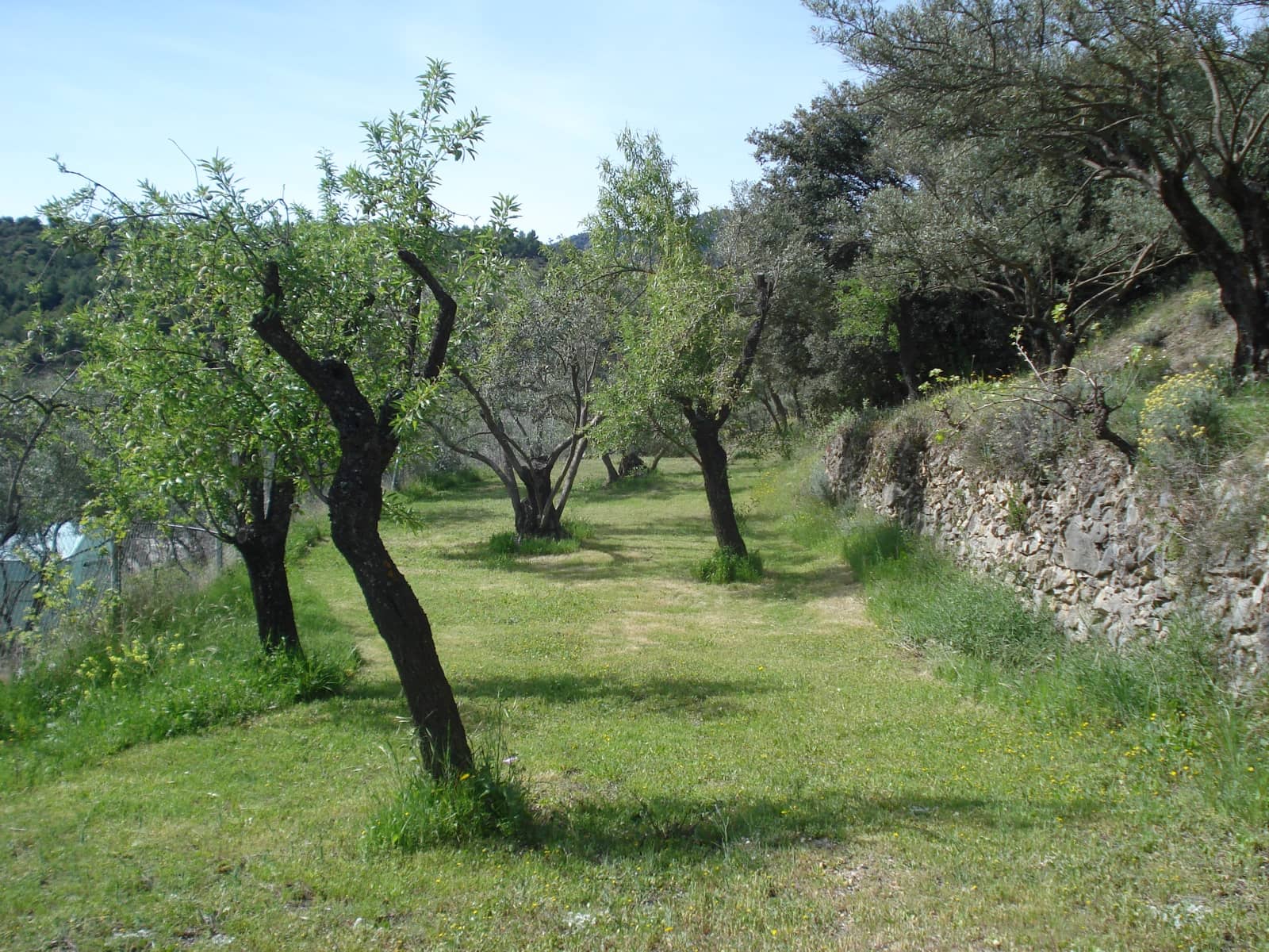 5 sovrum Finca/Hus på landet till salu i Los Guajares med pool garage - 325 000 € (Ref: 9362930)