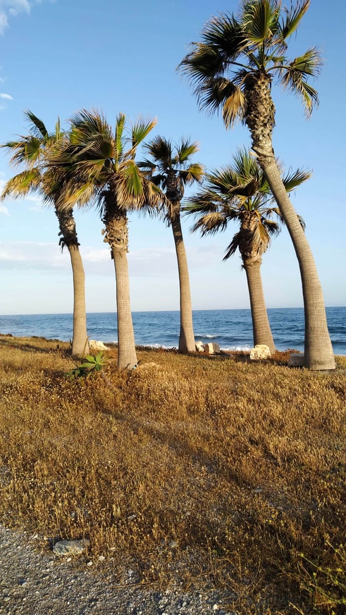 6 sypialnia Dom na sprzedaż w Carchuna z garażem - 249 000 € (Ref: 9380044)