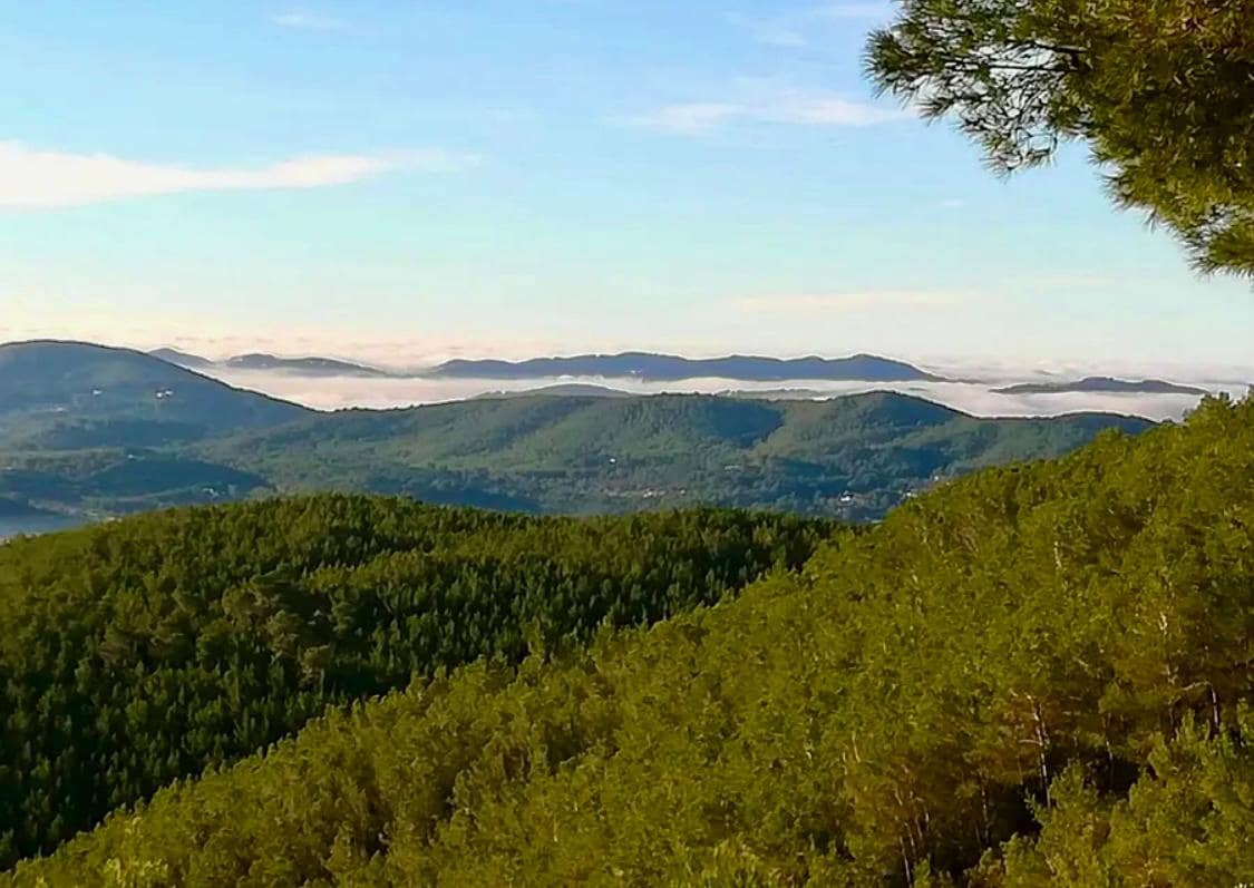 3 bedroom Finca/Country House for sale in Ibiza / Eivissa town - € 5,300,000 (Ref: 9428263)