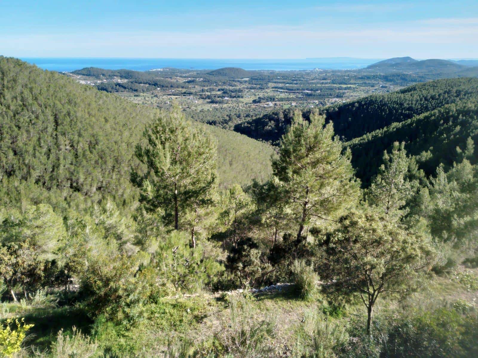 3 bedroom Finca/Country House for sale in Ibiza / Eivissa town - € 5,300,000 (Ref: 9428263)